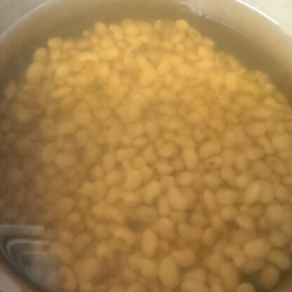 ブタコマさん☺️
大豆の浸水は一晩かけていたのですが、この方法だとすぐに水煮大豆できますね✨助かりました♥️素敵なレシピ&レポ、ありがとうございます(*^ーﾟ)